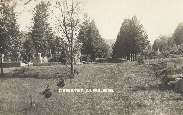 Photographic postcard of the cemetery, with scattered tombstones among the trees. Caption reads: "Cemetey[sic] Alma, Wis."