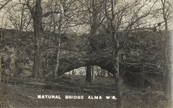 Photographic postcard of a geological formation called "Natural Bridge" in Natural Bridge State Park.