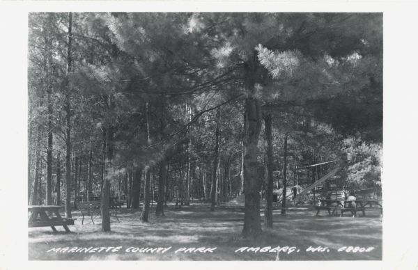 Photographic postcard view of Marinette County Park. Picnic tables and a playground are scattered under a pine forest. Caption reads: "Marinette County Park, Amberg, Wis."