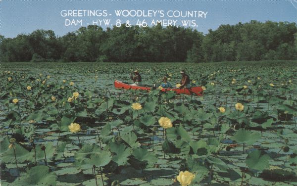 Color photographic postcard of three people navigating a red canoe through yellow water lilies in Woodley's Dam near Highway 8 and 46, north of Amery. Caption reads: "Greetings-Woodley's Country Dam-HWY.8 & 46 Amery, Wis."