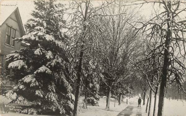 Photographic postcard scene of a neighborhood in Antigo after a snowfall. Snow is covering the trees in front yards and the streets. A young boy is standing on the sidewalk. Caption reads: "After the Snow, Antigo, Wis."