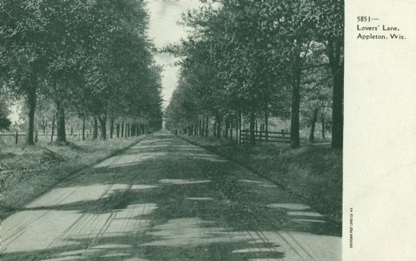View looking down tree-lined Lovers' Lane. Caption reads: "Lovers' Lane, Appleton, Wis."