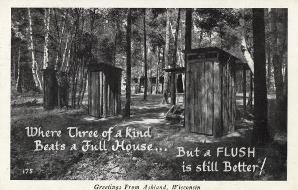 View of outhouses in a wooded area.