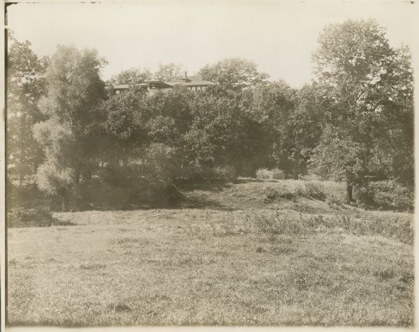 Pasture and trees below the southeast side of Taliesin I.