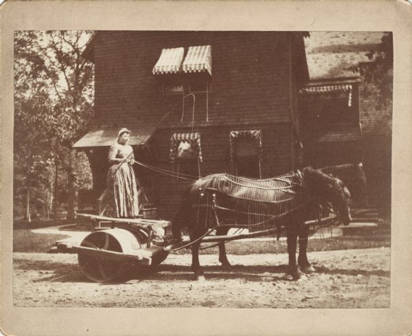 Julia, the cook, on the rolling machine pulled by a team of horses wearing fly-nets. She is wearing a full-length dress and holding a whip in her right hand, and the reins in her left. They are at the back of Bracken Brae, the country house of John Johnston (1836-1904), a successful Milwaukee banker, in what is now West Allis, Wisconsin.