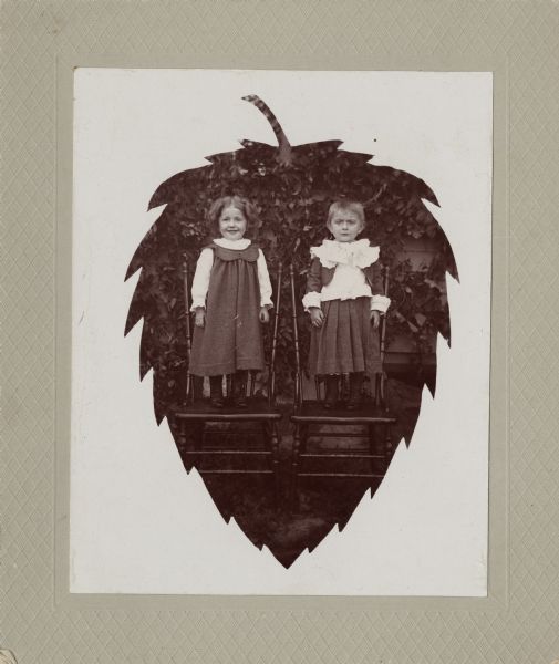 Twins Jennie and Edgar Krueger standing on chairs in front of a vine covered wall. They are about two years old. The photograph has the silhouette of a pine cone.