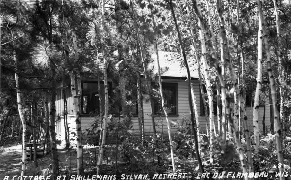 A cabin located in woods consisting of young birch and pine trees, a wooden chair situated under the trees. Sylvan Retreat was located near Lac du Flambeau.