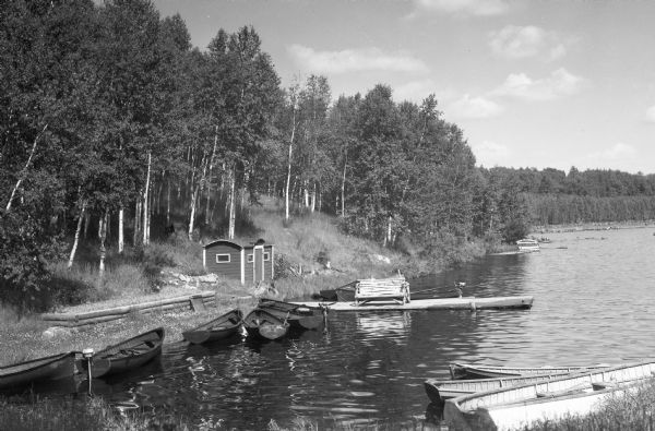 Wooden rowboats tied along shoreline of Moose Lake. One boat has a small trolling motor. A small building is along the shore near a dock with a bench.