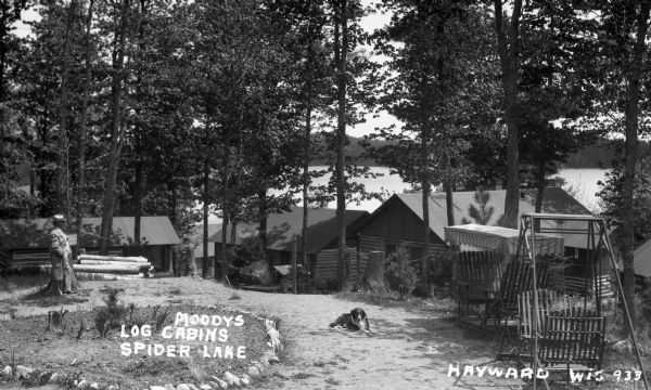 View down hill of log cabins on shore of Spider Lake. A dog is laying on a path near two lawn swings, and a man is leaning against a tree stump, gazing at the lake.