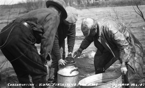 Three men standing in water near shore in northern Wisconsin lake. Two of the men are wearing waders, and they are using a ladle for dipping between a washtub and a milk can.