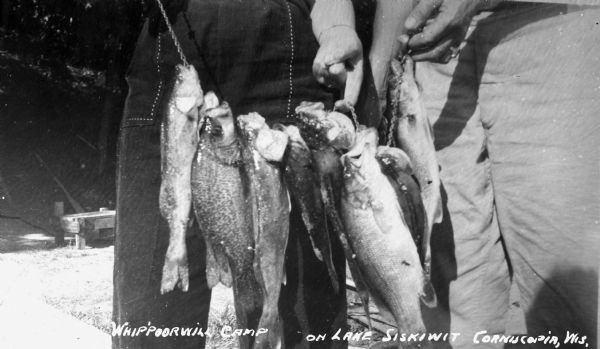 Two people holding a stringer of trout caught on Siskiwit Lake.
