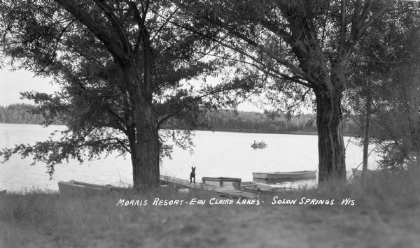 View from lawn of a dog on a dock watching family fishing near shoreline of Eau Claire Lake.