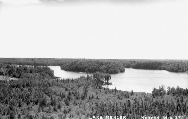 Elevated view overlooking Lake Mercer and surrounding forest.