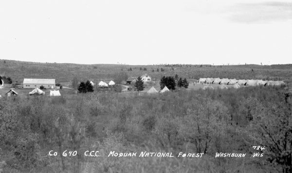 Elevated view over trees of the Civilian Conservation Corps (CCC) Camp, Moquah National Forest near Washburn, showing two buildings and about twenty-one tents.