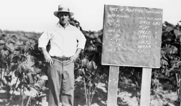 Man wearing a hat, standing in a sunflower field next to a sign that reads “Date of Planting Sunflower, Date Planted, ___ __ ___, May 21 – 21910 LBS, May 28-19690 LBS, June 3 – 19920 LBS, June 10 -15440 LBS, June 17 – 14950 LBS, June 24 – 10955 LBS, July 1 - 10625 LBS”.