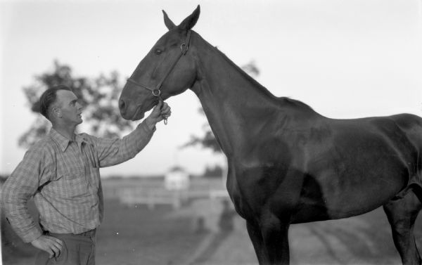 Man wearing a plaid shirt standing in front of a dark-colored horse, at the Iron County Fair.