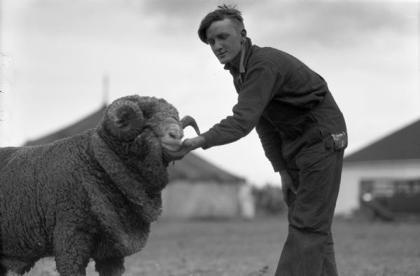 Man holding the mouth of a ram with large horns. The man is showing the ram at the Iron County Fair.