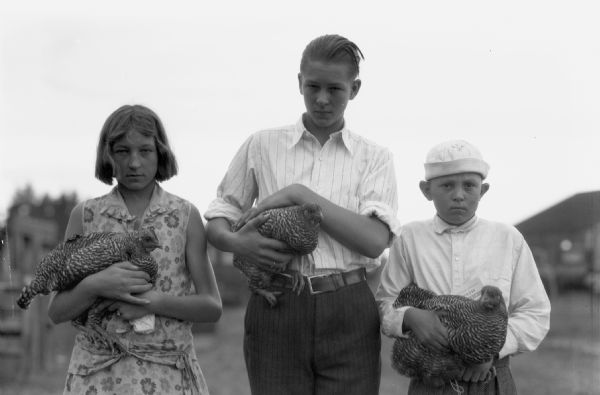 Two boys and one girl, all 4-H members, hold chickens, possibly at the Sawyer County Fair.