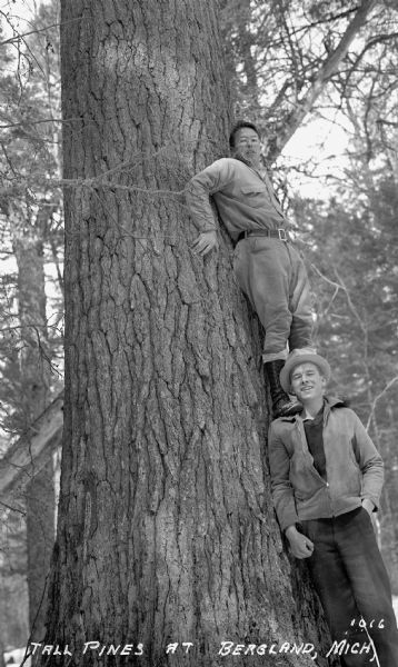 View of a man standing on top of another man's shoulders, leaning up against a large tree trunk for a tall pine.