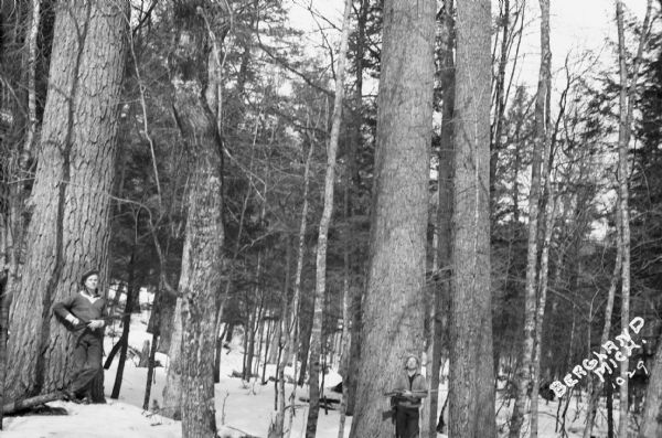 View of two men who are hunters, each holding a gun and standing next to the tree trunks of large pine trees in a pine forest.