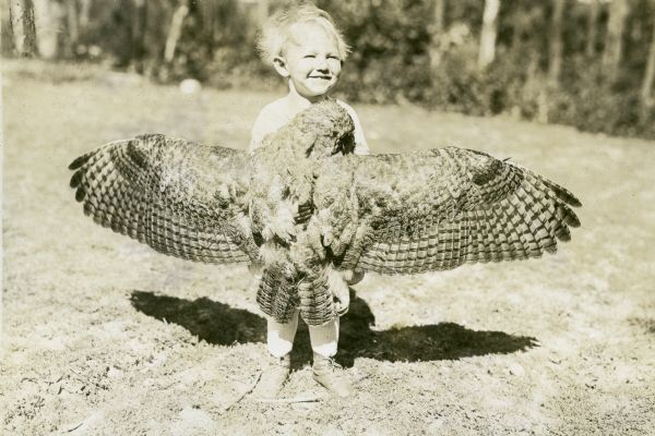 Young boy holding a great horned owl with its wings outspread. This photograph is a part of a book with photographs and typed text titled "Nature Lovers Paradise." Text for this photograph says: "great horned owl, shot in our woods."