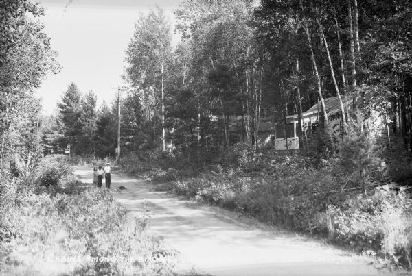 View of three people and a dog on a dirt road with cabins among the birch trees on the right. Labeled as "Cabins among the birches - Virginia Beach on Lake Owen."