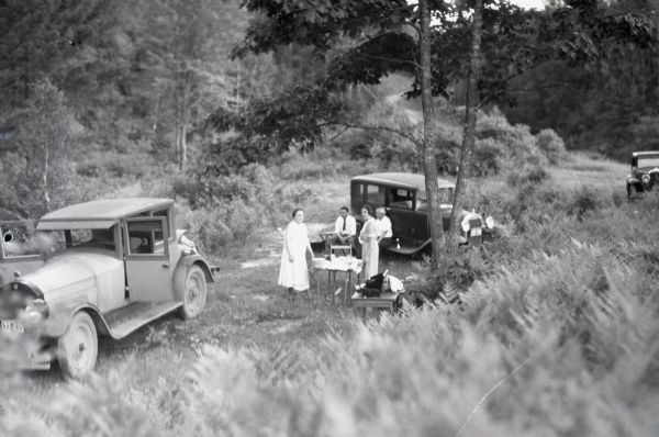 View looking down hill of two men and two women having a picnic at a table in the forest. Three automobiles are parked nearby. In the background are trees and shrubs.