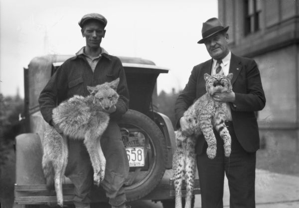 View of a man wearing a suit and hat holding a dead bobcat standing next to a man wearing a button-up plaid shirt and hat holding a dead coyote. Both men are standing in front of an automobile with a Wisconsin license plate.