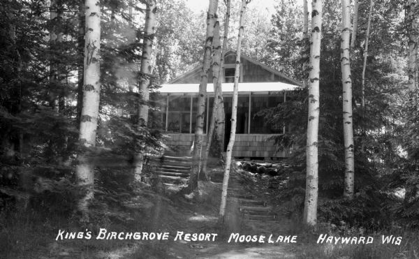 Birch trees and pine trees in front of a one-story cabin with front porch at the King's Birchgrove Resort on Moose Lake.