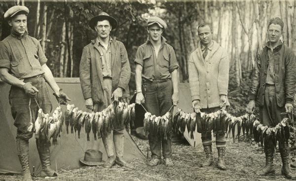 View of five men standing outside holding full lines of fish they caught at Nature Lovers Paradise resort located on Jackson Lake. In the background are two canvas tents and a hat.