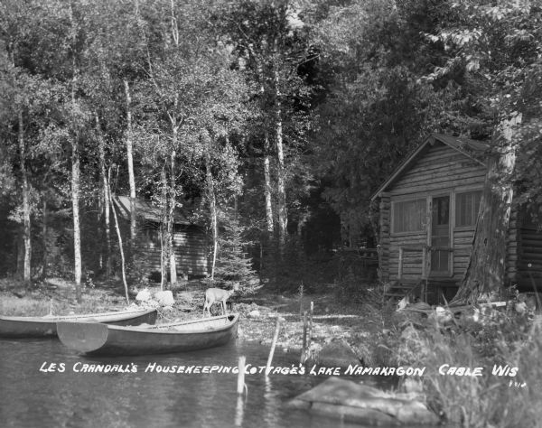 Log cabins on forested shoreline of Namakagon Lake. A young deer is standing in front of wooden rowboats on the shoreline.