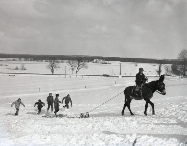 Winter scene down a hill of a young boy or girl riding a mule which is pulling a toboggan up the snow-covered hill. Children in winter clothing run up the hill behind the toboggan. A farm, fields, and bare trees can be seen in the background.