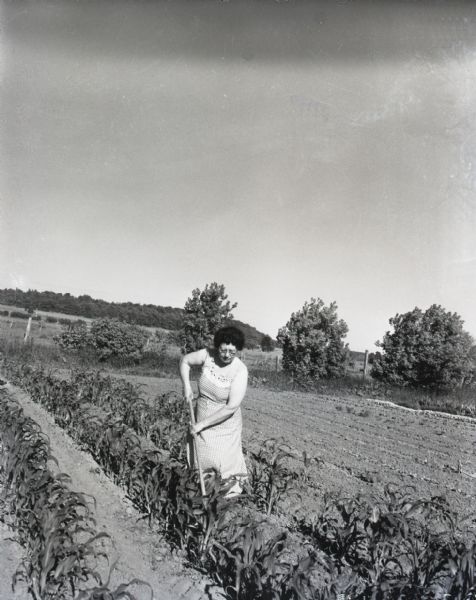 A woman wearing a checkered dress uses a hoe in a small garden plot. Trees, shrubs, and an open field can be seen in the background.