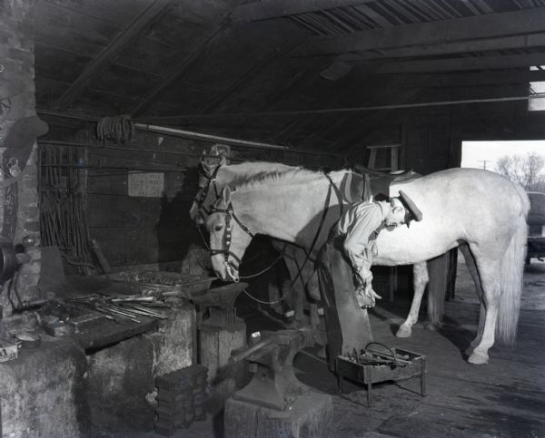 A blacksmith in a working apron prepares a horse for shoeing. The bridled and saddled horse stands quietly next to another horse in the blacksmith's shop, which is littered with horseshoes and blacksmith tools. A sign on the wall behind the blacksmith reads, "Please have plowshares free of mud and grease."