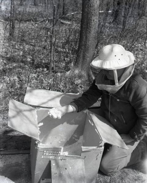 Robert E. Bodoh kneels next to a shipment of pollen. Bodoh, in a protective beekeeper hat, holds a fist-full of pollen in his hand.