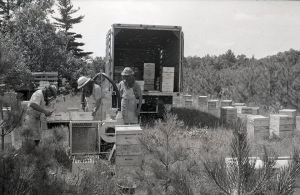 Beekeepers in protective clothing load beehives into a truck. Three men stand amongst beehives in a forest clearing. Two of the men use various beekeeping machines to prepare the hives, while another man stands to the side watching.