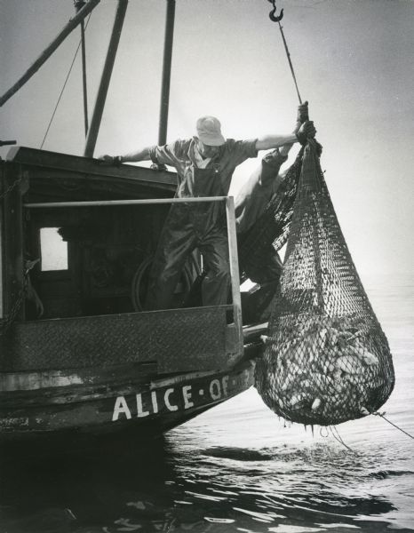 Two fisherman pull in a net of carp fish on Lake Winnebago.