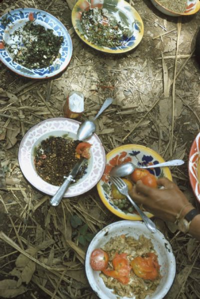 Close-up of a meal for Colonel Bouchon's Lao infantrymen in the Luang Prabang vicinity, Laos. A man's arm is visible placing a tomato on one of a number of brightly-colored bowls filled with different kinds of food which are sitting on the forest floor.
