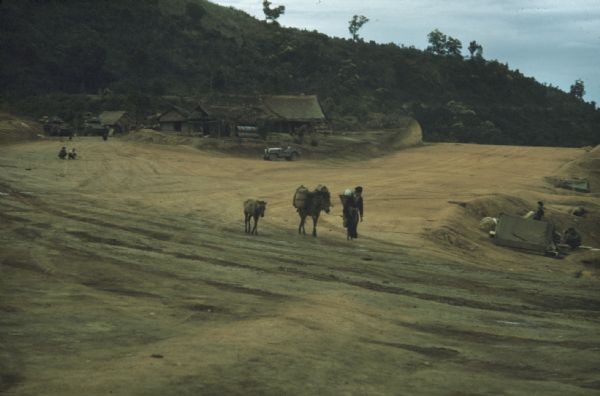 A woman leads a mule laden with bundles across the airstrip at the village of Keukacham, Laos. A young mule follows. In the background at the base of a hill are thatched buildings, two tanks and a jeep.