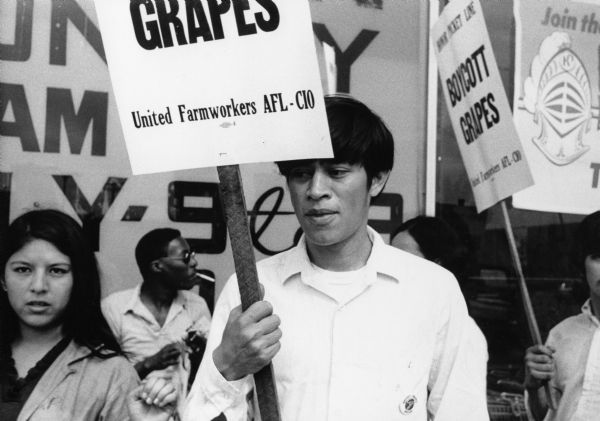 At the center of the photograph is Ricardo Enriquez of Mercedes, Texas. He is at a grape boycott picket with other students.<p>Grape boycotts in Wisconsin were organized by the local farm-worker labor union, Obreros Unidos (United Workers),an independent farm worker labor union effort in the 1960s.<p>Ricardo Enríquez manifestando en un boicot de uvas<p>Al centro de la fotografía está Ricardo Enríquez de Mercedes, Texas. Está haciendo piquete durante un boicot de uvas con otros estudiantes. Los boicots de uva en Wisconsin fueron organizados por el sindicato local de trabajadores agrícolas, Obreros Unidos, un esfuerzo independiente del sindicato de trabajadores agrícolas durante los años 1960.</p>