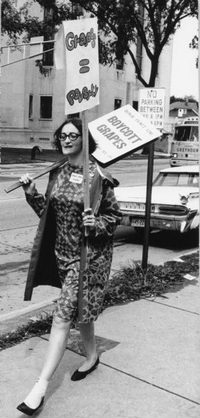 Sandi Utech picketing on a sidewalk in support of the grape boycott.  She is carrying two signs that read "Grapes = Poverty" and "Honor Picket Line: Boycott Grapes."
<p></p>Sandi Utech haciendo piquete en apoyo por el boicot de uvas
<p></p>Sandi Utech haciendo piquete en la orilla de la calle para apoyar el boicot de uva. Está sosteniendo dos letreros que dicen "Uvas = Pobreza" ("Grapes = Poverty") y "Honora la línea de piquete: Boicotea las uvas" ("Honor Picket Line: Boycott Grapes").