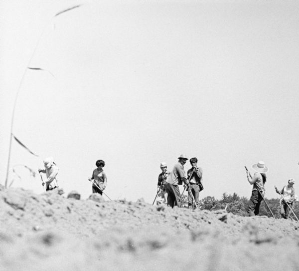 Ground-level view of workers cultivating a cucumber field with hand tools.
<p></p>Cultivación de pepinos 
<p></p>Vista desde el suelo de unos trabajadores cultivando un campo de pepino usando herramientas de mano.