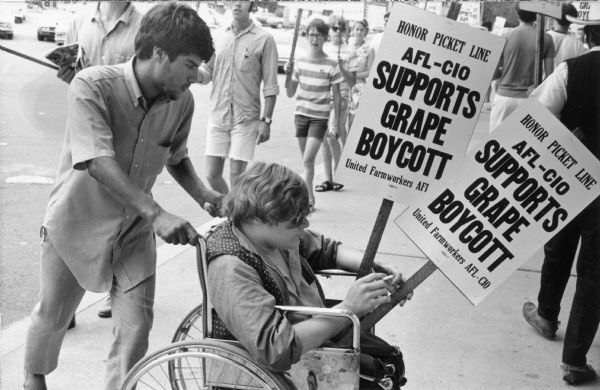 A picketer pushing the wheelchair of another supporter of the United Farmworkers — AFL-CIO grape boycott. They are possibly picketing in front of a supermarket in Milwaukee. The man in the wheelchair is holding a cigarette and two signs that both say: "Honor Picket Line/AFL-CIO Supports Grape Boycott/United Farmworkers AFL-CIO." Grape boycotts in Wisconsin were organized by the local farm-worker labor union, Obreros Unidos (United Workers) an independent farm worker labor union effort in the 1960s.<p>UFW apoya el boicot de uvas<p>Un manifestante empujando la silla de ruedas de otro simpatizante del boicot de uvas de United Farmworkers — AFL-CIO. Están posiblemente manifestando enfrente de un supermercado en Milwaukee. El hombre en la silla de ruedas está sosteniendo un cigarro y dos letreros que ambos dicen "Honora la línea de piquete/AFL-CIO apoya el boicot de uvas/United Farmworkers AFL-CIO" ("Honor Picket Line/AFL-CIO Supports Grape Boycott/United Farmworkers AFL-CIO"). Los boicots de uva en Wisconsin fueron organizados por el sindicato local de trabajadores agrícolas, Obreros Unidos, un esfuerzo independiente del sindicato de trabajadores agrícolas durante los años 1960.</p>