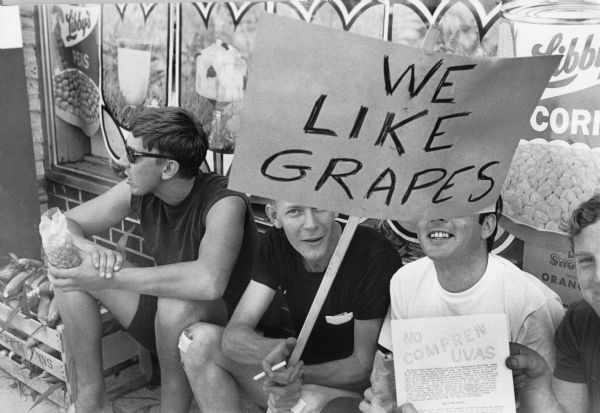 Four young men sitting in front of a grocery store. The young man on the left is sitting beside a crate of corn, wearing sunglasses and holding a bag of grapes. Next to him is an adolescent with scabs on his knees, looking at the camera, holding a cigarette and a sign that reads, "We Like Grapes." The adolescent wearing a white shirt whose eyes are covered behind the sign smiles while the boy on the right holds a letter with a title at the top that reads, "No Compren Uvas" (Don't Buy Grapes).<p>Grape boycotts in Wisconsin were organized by the local farm-worker labor union, Obreros Unidos (United Workers), an independent farm worker labor union effort in the 1960s. According to David Giffey and Jesús Salas, "opposition to the boycott picket lines came from corporations, police, politicians and right-wing counter pickets" who erroneously associated the boycott with an international Communist conspiracy.<p>Adolescentes de Wautoma haciendo contra-piquete del boicot de uvas<p>Cuatro hombres jóvenes sentados enfrente de una tienda de comida. El muchacho a la derecha está sentado al lado de una caja de elote, con lentes de sol y sosteniendo una bolsa de uvas. A su lado está un adolescente con costra en sus rodillas, mirando hacia la cámara, sosteniendo un cigarro y un letrero que dice "Nos gustan las uvas" ("We Like Grapes"). El adolescente vistiendo una camisa blanca con sus ojos cubiertos detrás del letrero sonríe mientras el muchacho a la derecha sostiene una carta que dice "No Compren Uvas."<p>Los boicots de uva en Wisconsin fueron organizados por el sindicato local de trabajadores agrícolas, Obreros Unidos, un esfuerzo independiente del sindicato de trabajadores agrícolas durante los años 1960. De acuerdo a David Giffey y Jesús Salas "la oposición a los frentes de protesta del boicot vino por parte de corporaciones, policía, políticos y contra-frentes derechistas" quienes erróneamente identificaban el boicot como parte de una conspiración comunista internacional.</p>