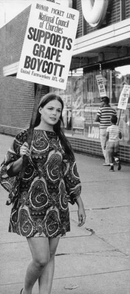 A woman wearing a paisley dress is carrying a United Farmworkers (UFW)/AFL-CIO sign in front of a Kroger store that reads, "Honor Picket Line/ National Council of Churches/Supports Grape Boycott." In the background are other picketers, a man in sunglasses and a boy, also carrying the same signs. Grape boycotts in Wisconsin were organized by the local farm-worker labor union, Obreros Unidos (United Workers), an independent farm worker labor union effort in the 1960s.<p>Una mujer de Wisconsin apoyando el boicot de uvas<p>Una mujer vistiendo un vestido con un estampado de encurtidos Pérsico o casimir [patrón "paisley"] está sosteniendo un letrero de United Farmworkers (UFW)/AFL-CIO enfrente de una tienda Kroger que dice "Honora la línea de piquete/El Consejo Nacional de Iglesias/Apoya el Boicot de Uva" ("Honor Picket Line/National Council of Churches/Supports Grape Boycott"). Hacia el fondo hay otros manifestantes, un hombre con lentes de sol y un niño cargando los mismos letreros. Los boicots de uva en Wisconsin fueron organizados por el sindicato local de trabajadores agrícolas, Obreros Unidos, un esfuerzo independiente del sindicato de trabajadores agrícolas durante los años 1960.</p>