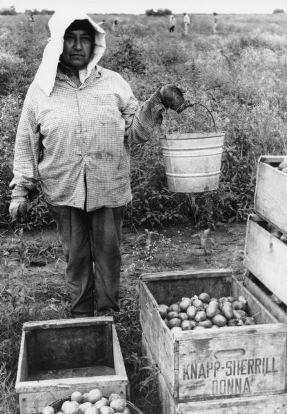 A woman holding a bucket and wearing a covering over her head, a checkered long sleeve shirt, pants, and gloves. She is standing behind crates of Roma tomatoes she and other migrant laborers are harvesting. Behind her are migrant workers picking tomatoes in a grassy field in South Texas.<p>This photograph is a part of Wisconsin-native David Giffey's series "Struggle for Justice," images from the migrant farm worker struggle including an independent oganizing effort in Wisconsin and the nationwide grape boycott movement started by Cesar Chavez of United Farm Workers during the 1960s and 1970s. Many migrant farm laborers traveled from Texas to Wisconsin in search of seasonal field work.<p>Una cosechadora de jitomate en el sur de Texas<p>Una mujer con algo cubriendo su cabeza, vistiendo una camisa de cuadros con mangas largas, un pantalón, y guantes está sosteniendo una cubeta. Ella está parada detrás de unas cajas de jitomates Roma, ella y otros obreros están cosechando. Detrás de ella hay trabajadores agrícolas pizcando jitomates en un campo herboso en el sur de Texas. Esta fotografía es parte de la serie "Lucha por la Justicia" tomada por David Giffey, originario de Wisconsin, las imágenes muestran la lucha de los trabajadores agrícolas emigrantes incluyendo un esfuerzo independiente organizado en Wisconsin y el movimiento nacional del boicot de uvas empezado por Cesar Chávez de la unión de campesinos o United Farm Workers durante los años 1960 y 1970. Muchos obreros agrícolas emigrantes viajaban desde Texas hacia Wisconsin en busca de trabajo temporal en los campos.</p>