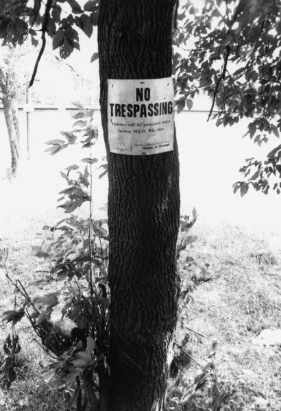 A sign stapled to a tree on a labor camp that says "No trespassing/Visitors will be prosecuted under Section 943.13, Wis. State." This sign was typically used to prohibit union organizers entry to labor camps until the 1968 ruling by the Wisconsin attorney general's office.<p>This photograph is a part of Wisconsin-native David Giffey's series "Struggle for Justice," images from the migrant farm worker struggle including an independent organizing effort in Wisconsin and the nationwide grape boycott movement started by Cesar Chavez of United Farm Workers during the 1960s and 1970s. Many migrant farm laborers traveled from Texas to Wisconsin in search of seasonal field work.<p>Letrero de "No Traspasar" a los campos<p>Un letrero grapado a un árbol en un campo laboral que dice "No traspasar/Visitantes serán acusados bajo la Sección 943.13 de las leyes de Wisconsin" ("No trespassing/Visitors will be prosecuted under Section 943.13, Wis. Stats."). Este letrero era típicamente usado para prohibir la entrada en los campos laborales a organizadores de sindicato, hasta el fallo de la oficina del procurador de justicia de Wisconsin en 1968. Esta fotografía es parte de la serie "Lucha por la Justicia" tomada por David Giffey, originario de Wisconsin, las imágenes muestran la lucha de los trabajadores agrícolas emigrantes incluyendo un esfuerzo independiente organizado en Wisconsin y el movimiento nacional del boicot de uvas empezado por Cesar Chávez de la unión de campesinos o United Farm Workers durante los años 1960 y 1970.</p>