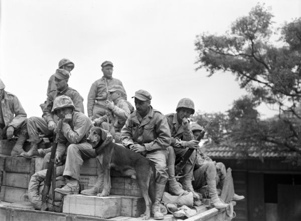 Soldiers in Ishikowa, Okinawa resting on top of a truck with a dog. This photograph was taken hours after Ishikowa (population 400) fell. The marines, dressed in fatigues, are en route to the front. A number of them are holding sub-machine guns. The dog is standing in front of them, with his/her front paws on a crate. Trees and a building are in the background.