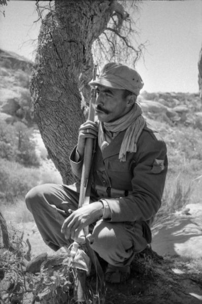 An Algerian member of the National Liberation Front posing for a portrait in the desert. He is holding a rifle and sitting by a tree, and is wearing a uniform with the FLN's insignia on the sleeve.