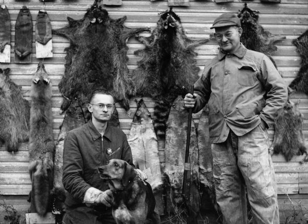 "Raccoon hunters, Fred Zastrow, & Alfred 'Butch' Muche, and their dog Ranger display some of their catch on a shed on Madison Road."